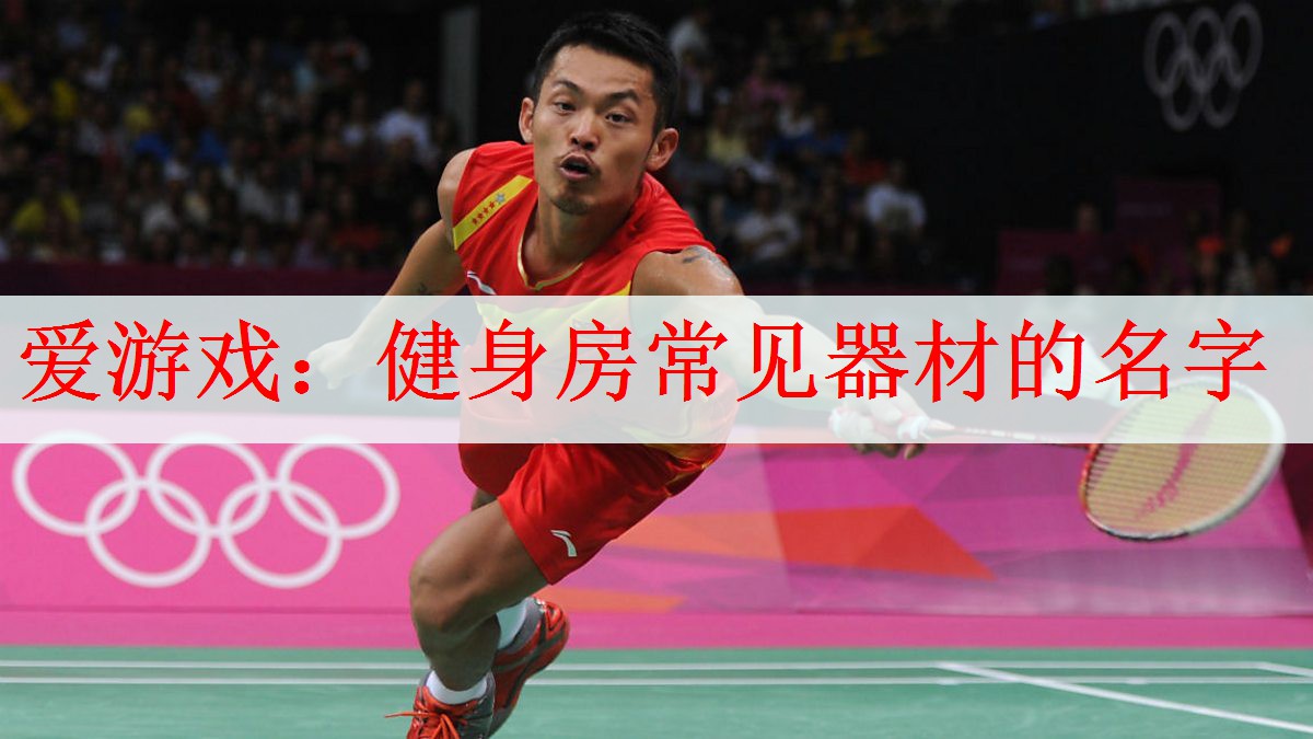 爱游戏：健身房常见器材的名字