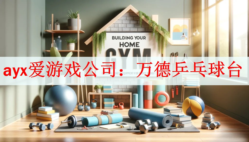 ayx爱游戏公司：万德乒乓球台