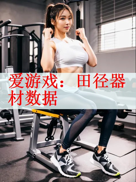 <strong>爱游戏：田径器材数据</strong>
