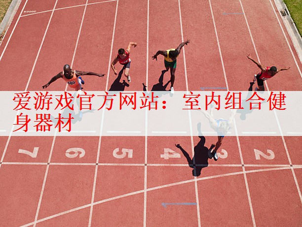爱游戏官方网站：室内组合健身器材