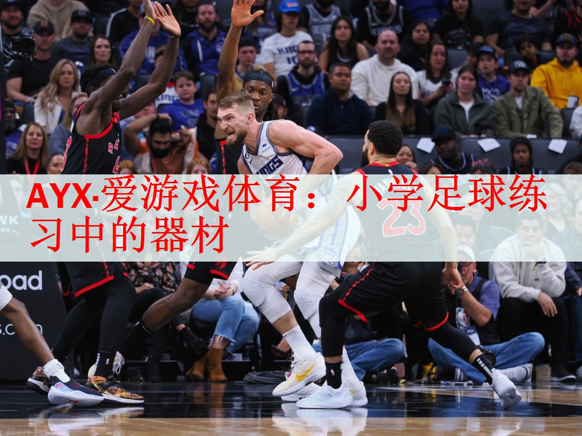 <strong>AYX·爱游戏体育：小学足球练习中的器材</strong>