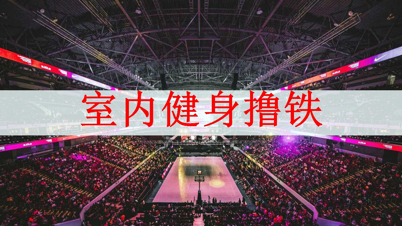 <strong>室内健身撸铁</strong>