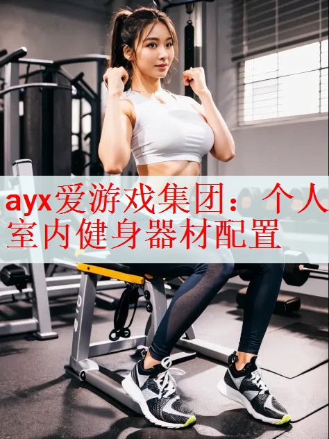 ayx爱游戏集团：个人室内健身器材配置