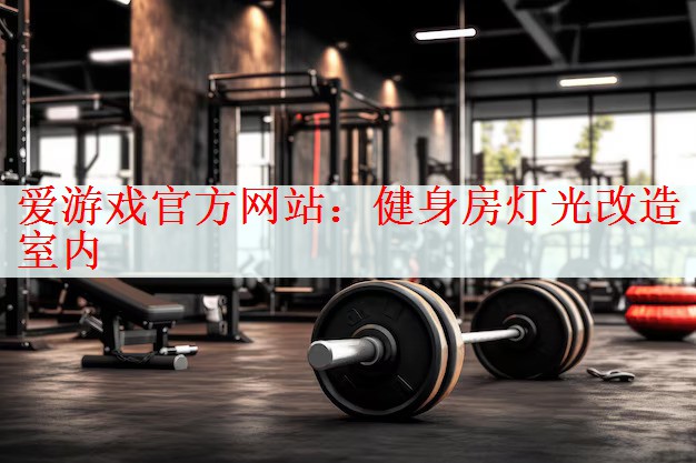 爱游戏官方网站：健身房灯光改造室内