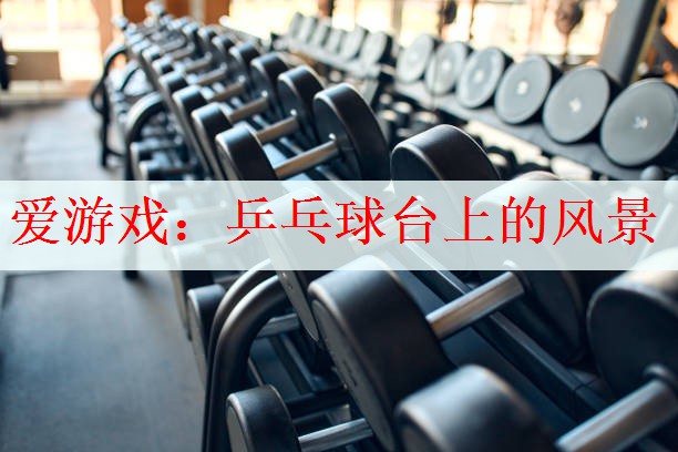 <strong>爱游戏：乒乓球台上的风景</strong>