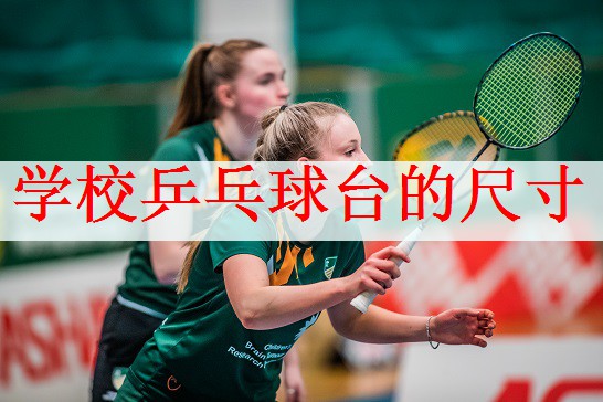 学校乒乓球台的尺寸