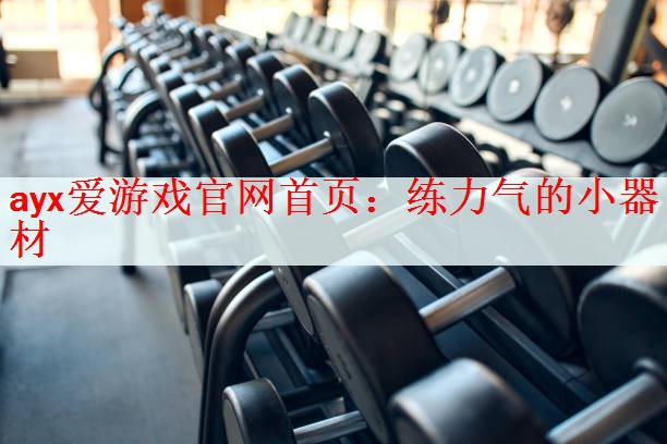 ayx爱游戏官网首页：练力气的小器材