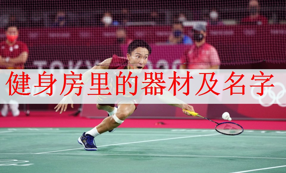 <strong>健身房里的器材及名字</strong>