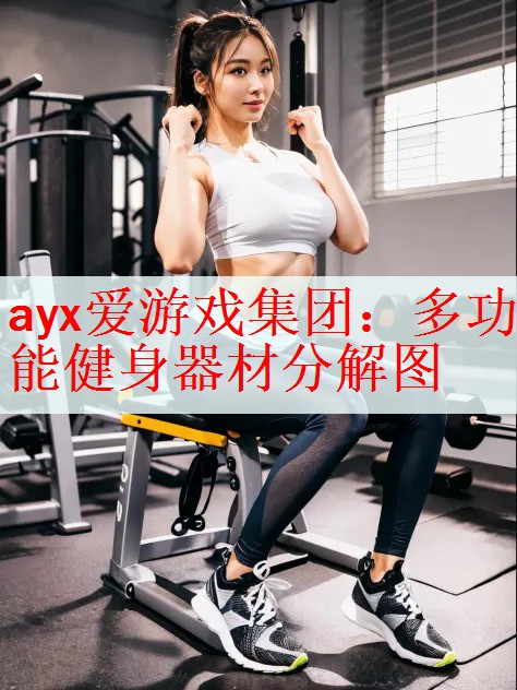 ayx爱游戏集团：多功能健身器材分解图