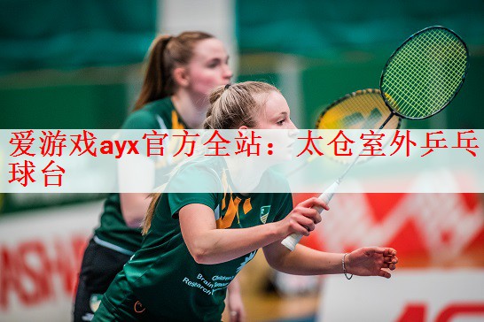 爱游戏ayx官方全站：太仓室外乒乓球台