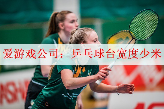 爱游戏公司：乒乓球台宽度少米