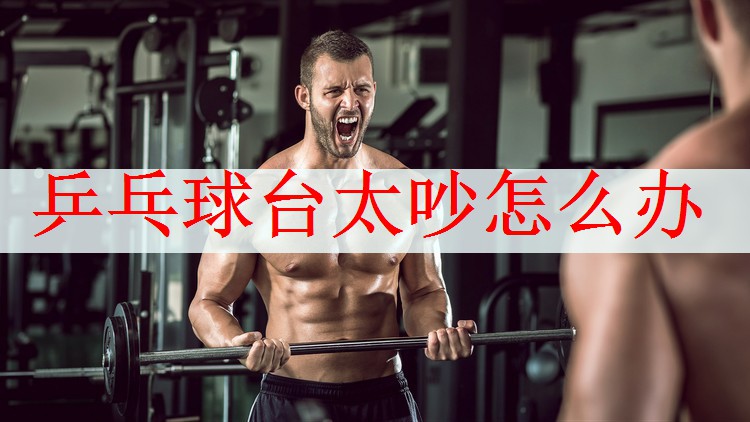 乒乓球台太吵怎么办