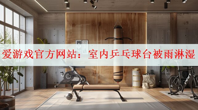 <strong>爱游戏官方网站：室内乒乓球台被雨淋湿</strong>
