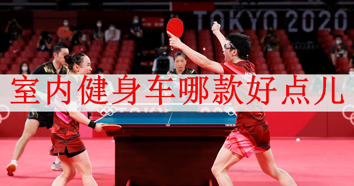 <strong>室内健身车哪款好点儿</strong>