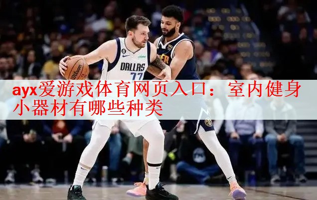 <strong>ayx爱游戏体育网页入口：室内健身小器材有哪些种类</strong>
