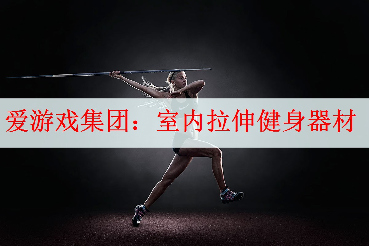 <strong>爱游戏集团：室内拉伸健身器材</strong>