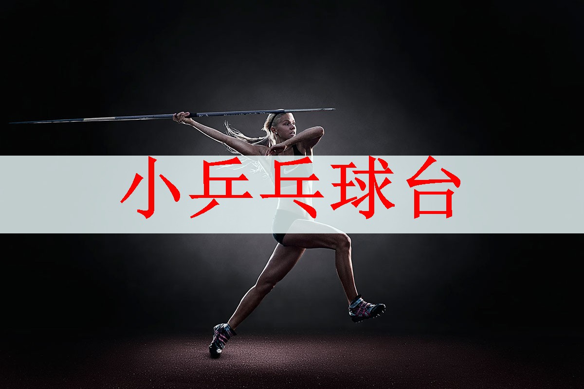 <strong>小乒乓球台</strong>