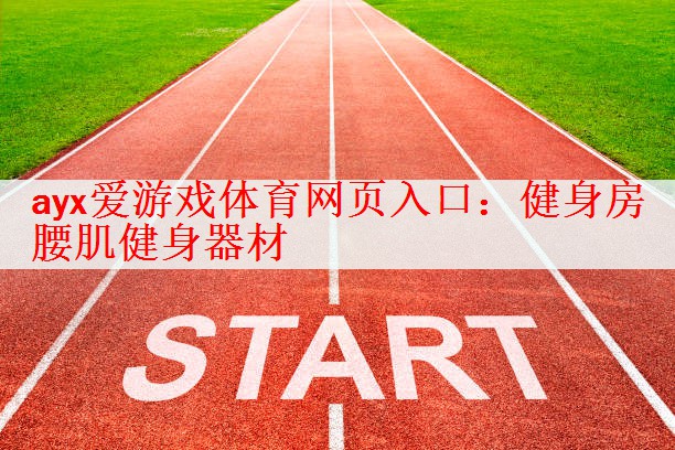 ayx爱游戏体育网页入口：健身房 腰肌健身器材