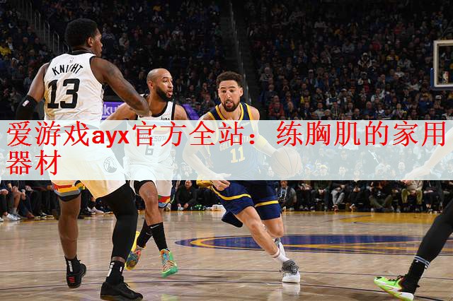 <strong>爱游戏ayx官方全站：练胸肌的家用器材</strong>