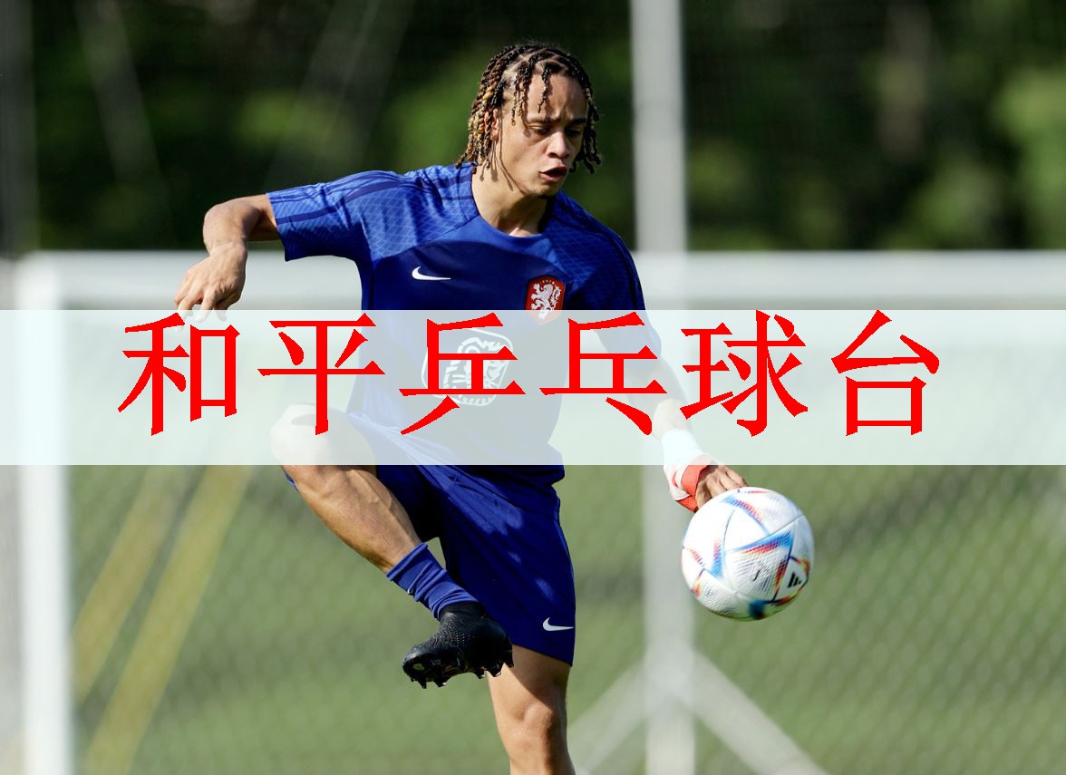 和平乒乓球台