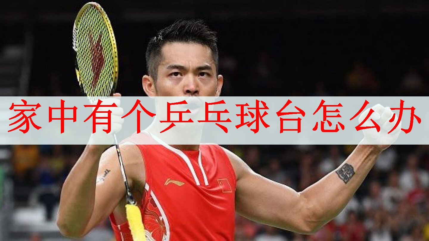 家中有个乒乓球台怎么办
