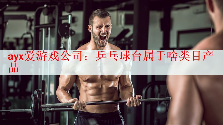 ayx爱游戏公司：乒乓球台属于啥类目产品