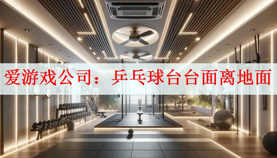 爱游戏公司：乒乓球台台面离地面