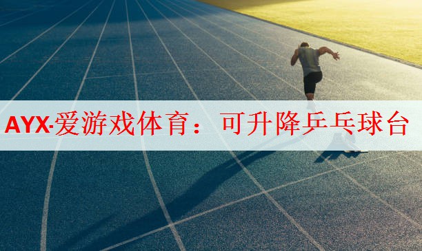 <strong>AYX·爱游戏体育：可升降乒乓球台</strong>