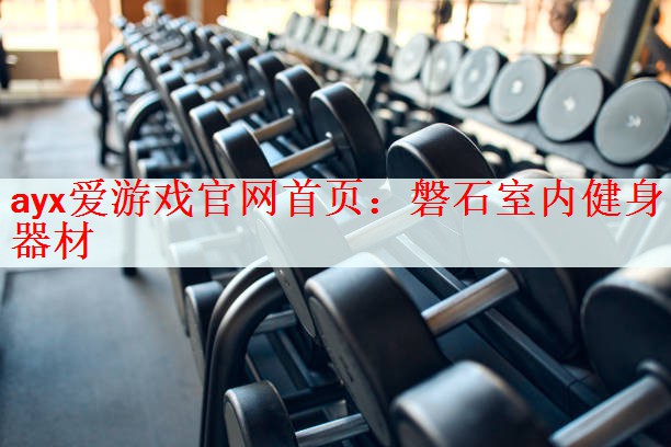 <strong>ayx爱游戏官网首页：磐石室内健身器材</strong>