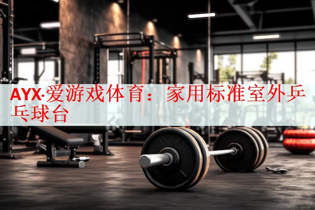 AYX·爱游戏体育：家用标准室外乒乓球台