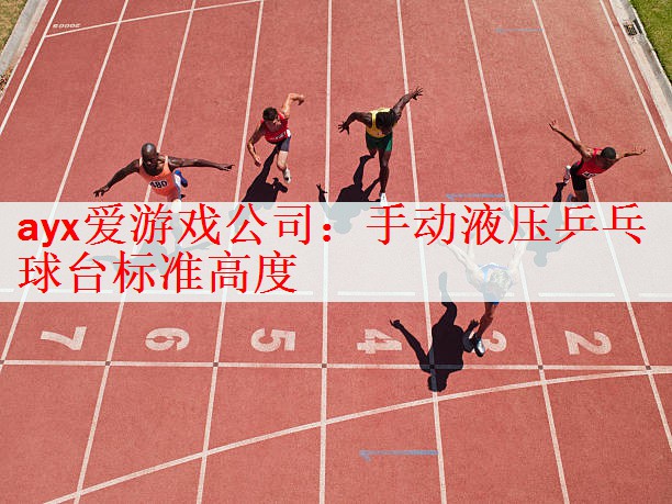<strong>ayx爱游戏公司：手动液压乒乓球台标准高度</strong>