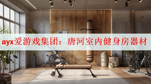 ayx爱游戏集团：唐河室内健身房器材