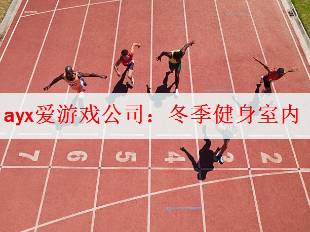 <strong>ayx爱游戏公司：冬季健身室内</strong>