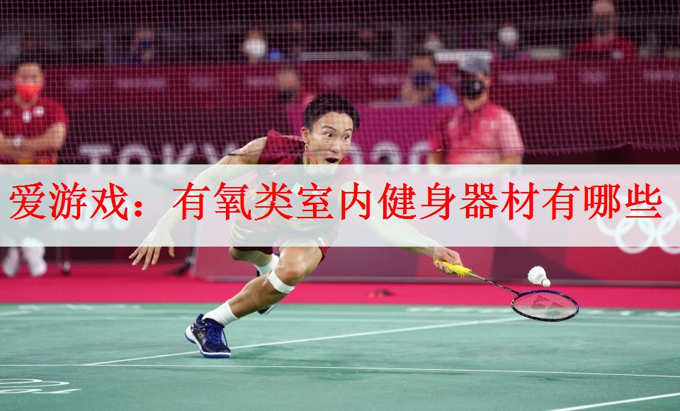 <strong>爱游戏：有氧类室内健身器材有哪些</strong>