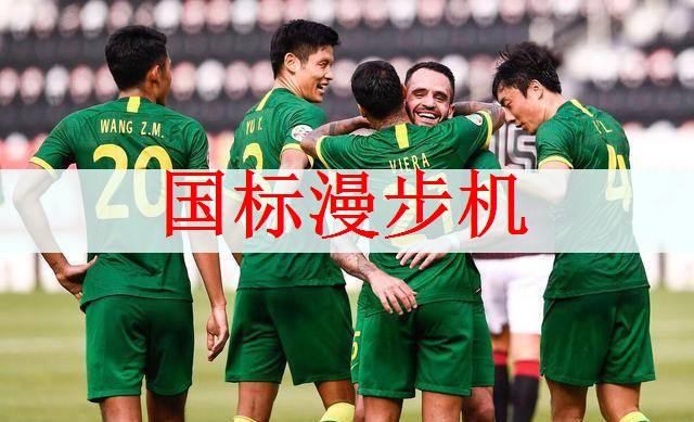国标漫步机