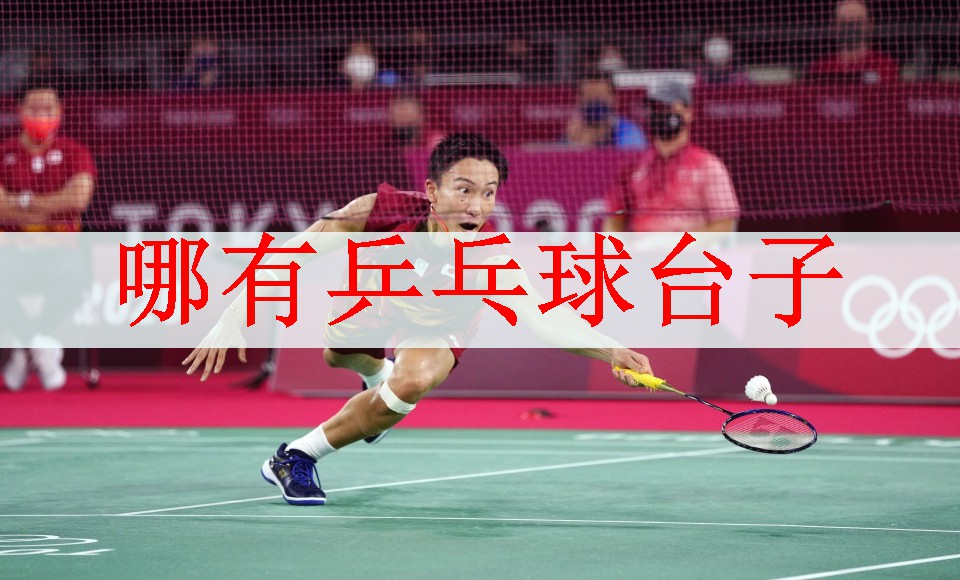 哪有乒乓球台子