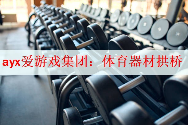 <strong>ayx爱游戏集团：体育器材拱桥</strong>