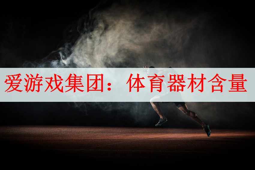 <strong>爱游戏集团：体育器材含量</strong>
