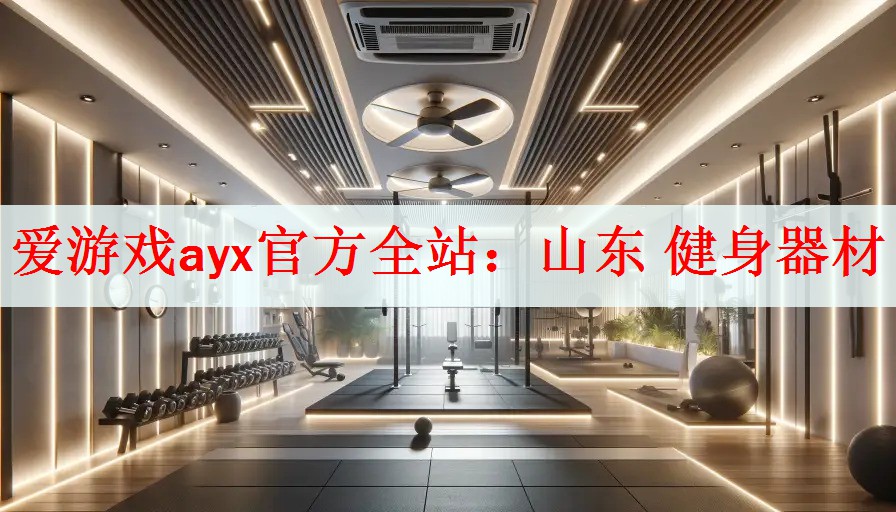<strong>爱游戏ayx官方全站：山东 健身器材</strong>