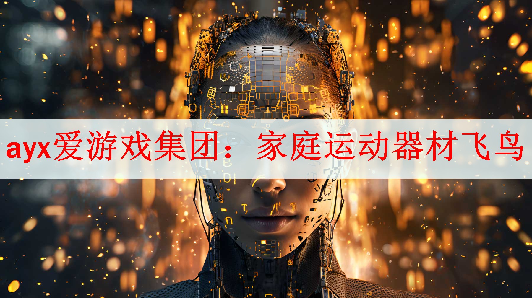 <strong>ayx爱游戏集团：家庭运动器材飞鸟</strong>