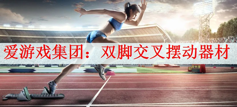 <strong>爱游戏集团：双脚交叉摆动器材</strong>