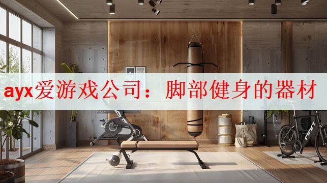 <strong>ayx爱游戏公司：脚部健身的器材</strong>