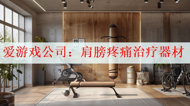 爱游戏公司：肩膀疼痛治疗器材