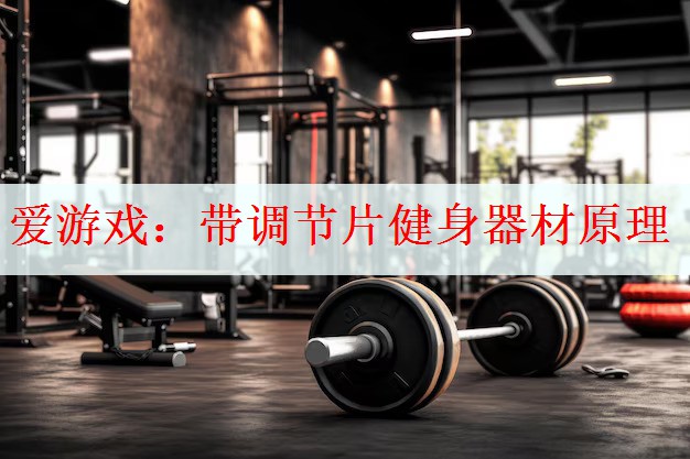<strong>爱游戏：带调节片健身器材原理</strong>
