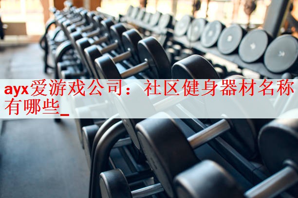 <strong>ayx爱游戏公司：社区健身器材名称有哪些_</strong>
