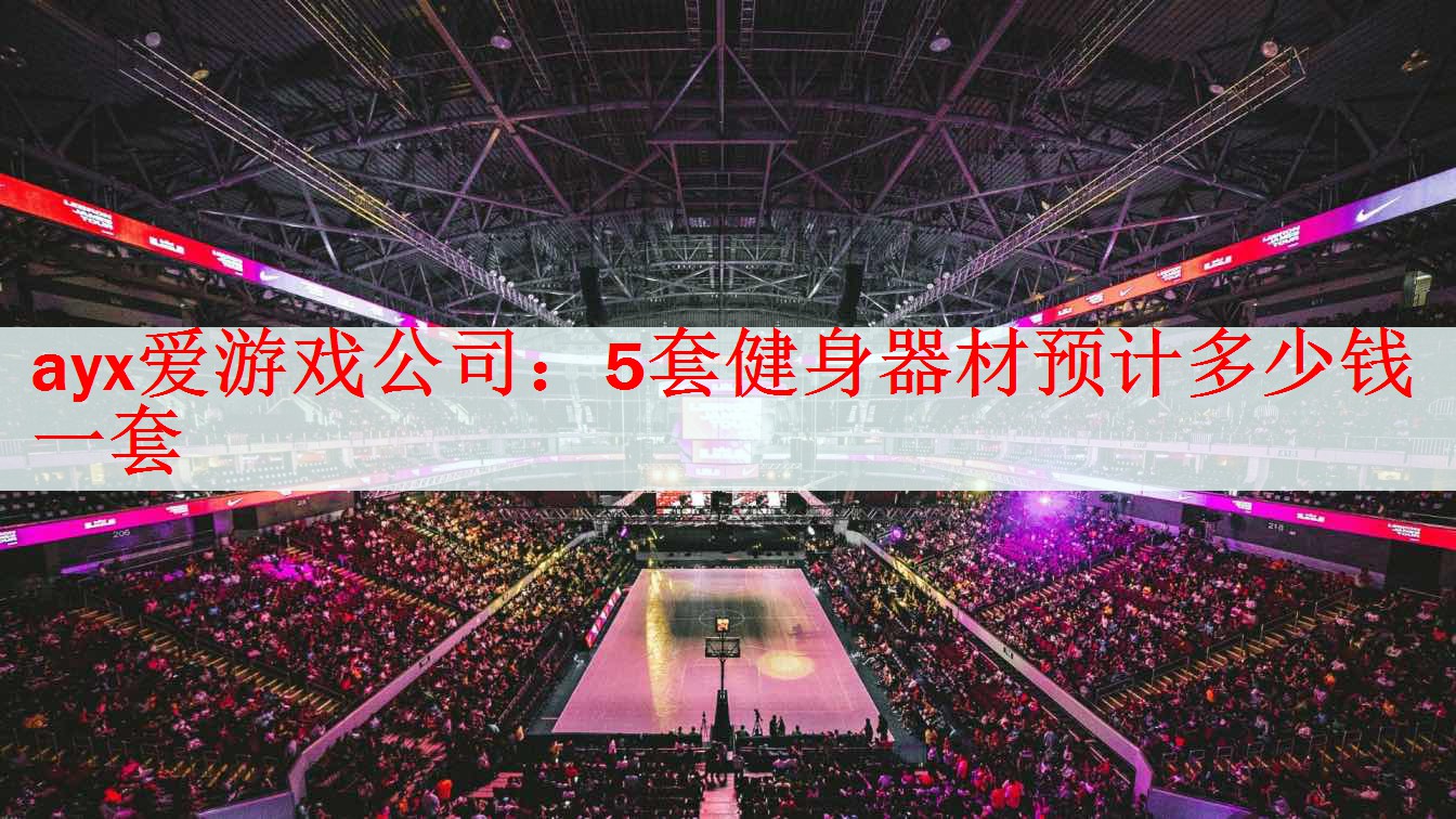ayx爱游戏公司：5套健身器材预计多少钱一套