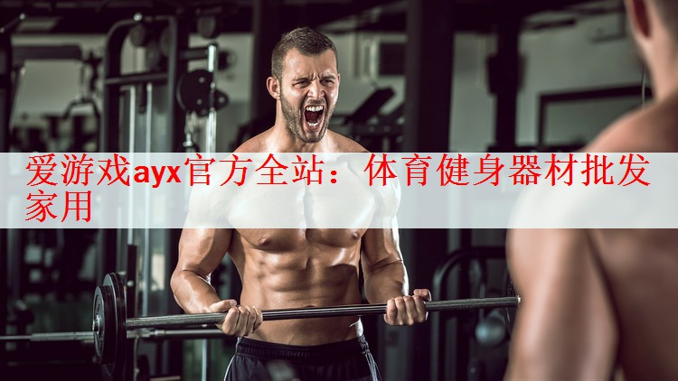 <strong>爱游戏ayx官方全站：体育健身器材批发家用</strong>