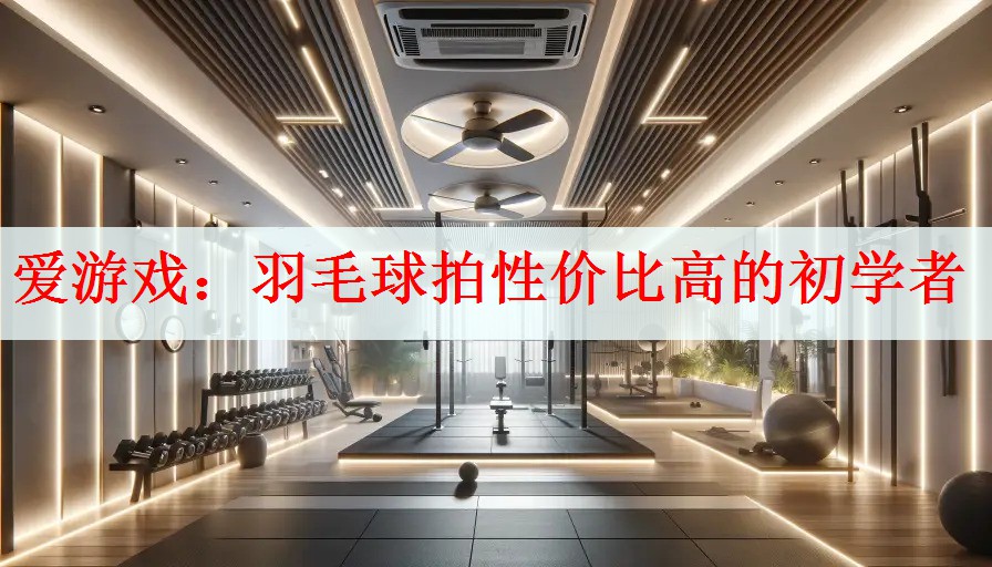 <strong>爱游戏：羽毛球拍性价比高的初学者</strong>