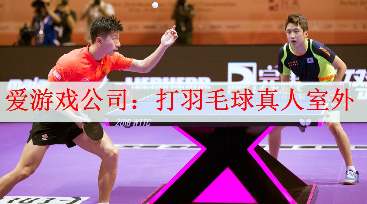 <strong>爱游戏公司：打羽毛球真人室外</strong>