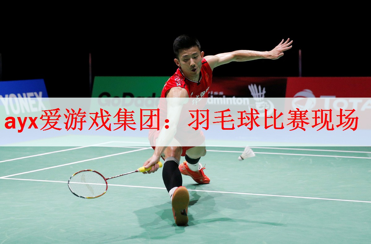 <strong>ayx爱游戏集团：羽毛球比赛现场</strong>